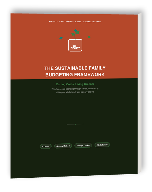 The Sustainable Family Budgeting Framework cover