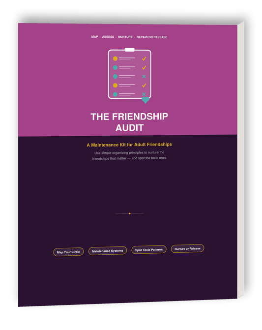The Friendship Audit cover